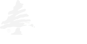 Lebanese Taverna Express